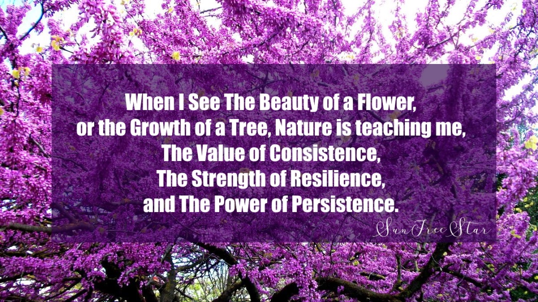 photo of a tree with pink flowers and a quote from sunfreestar about nature and persistence